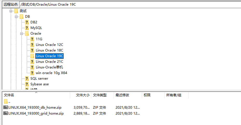 vredhat7.6，oracle19C，RAC部署手册，oracle，数据库，虚拟机，搭建手册，Oracle 部署，Oracle RAC ，备份，容灾